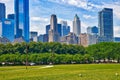 Chicago Grant Park skyline Royalty Free Stock Photo