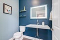 Half bathroom with blue walls.