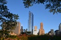 Chicago buildings framed by trees and flowers. Royalty Free Stock Photo