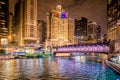 Chicago Illinois cityscape at night Royalty Free Stock Photo