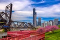 Chicago, Illinois, USA Park and Downtown Skyline Royalty Free Stock Photo