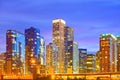 Chicago Illinois, USA Skyline Royalty Free Stock Photo