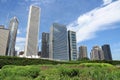 Chicago Lurie Garden Royalty Free Stock Photo