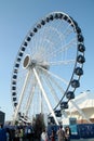 Chicago Navy Pier - Ferries Wheel