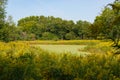 Chicago Portage landscape