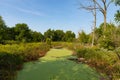 Chicago Portage landscape