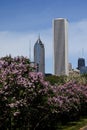 Chicago's AON tower Royalty Free Stock Photo