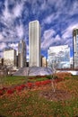Scenic colorful picture of Chicago`s architectural buildings