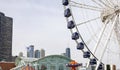 Chicago`s Navy Pier with the Ferris wheel and city skyline with skyscrapers in the background Royalty Free Stock Photo