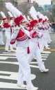 Chicago Saint Patrick parade