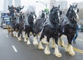 Chicago Saint Patrick parade