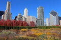 Chicago Skyline in Autumn Royalty Free Stock Photo