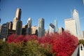 Chicago Skyline during Fall