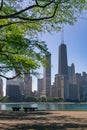 Chicago Skyline framed by a tree at Milton Lee Olive Park with Benches