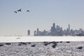 Chicago skyline at the lakefront on a sub-zero winter day Royalty Free Stock Photo