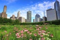 Chicago skyline from Lurie Garden Royalty Free Stock Photo