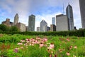 Chicago skyline from Lurie Garden Royalty Free Stock Photo