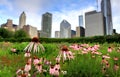 Chicago skyline from Lurie Garden Royalty Free Stock Photo