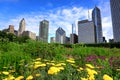 Chicago skyline from Lurie Garden Royalty Free Stock Photo