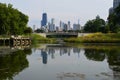 Chicago Skyline with Nature Royalty Free Stock Photo