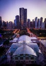 Chicago Skyline - Navy Pier