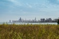 Chicago skyline, USA Royalty Free Stock Photo