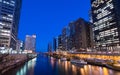 Chicago skyline at night Royalty Free Stock Photo