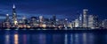 Chicago skyline by night Royalty Free Stock Photo
