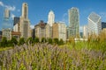 Chicago skyscrapers