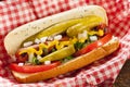 Chicago Style Hot Dog