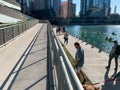 Chicago in summer, including texting and walking on the riverwalk, kayaks on the river, tourists and commuters, and dog walking Royalty Free Stock Photo