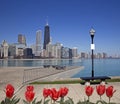Chicago view Royalty Free Stock Photo
