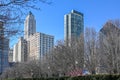 Chicago viewed from Millenium Park