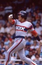 Luis Salazar, Chicago White Sox Royalty Free Stock Photo