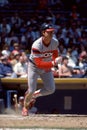 Ron Kittle, Chicago White Sox