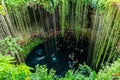 Ik-Kil Cenote, Chichen Itza, Mexico. Royalty Free Stock Photo