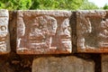 Chichen Itza Tzompantli the Wall of Skulls Royalty Free Stock Photo