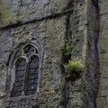 Chichester Cathedral Cathedral Church of the Holy Trinity free-standing medieval bell tower known as campanile in Chichester, We Royalty Free Stock Photo