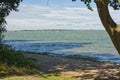 Chichester harbour at Ichenor, England