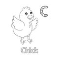 Chick Alphabet ABC Coloring Page C