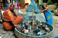 Chick and duck seller at west bengal Royalty Free Stock Photo