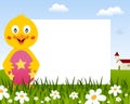 Chick with Easter Egg Horizontal Frame Royalty Free Stock Photo