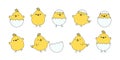 Chick and egg, Easter chicken vector icon, cartoon baby bird with shell, yellow little animal character set. Cute illustration Royalty Free Stock Photo