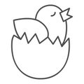 Chick in an egg thin line icon. Chicken hatched from an egg outline style pictogram on white background. Easter chick Royalty Free Stock Photo