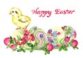 Chick and eggs with traditional painting and clover flowers, Happy Easter Royalty Free Stock Photo
