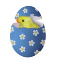 Chick in the eggshell 2