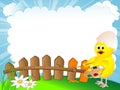 Chick and fence Royalty Free Stock Photo