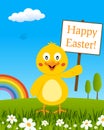 Chick with Happy Easter Sign in a Meadow Royalty Free Stock Photo