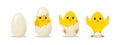 Chick hatch from egg. Step from cracked to hatch egg. Baby of chicken. Yellow bird with character. Little cute easter chick.