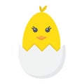 Chick hatched from an egg flat icon, easter Royalty Free Stock Photo